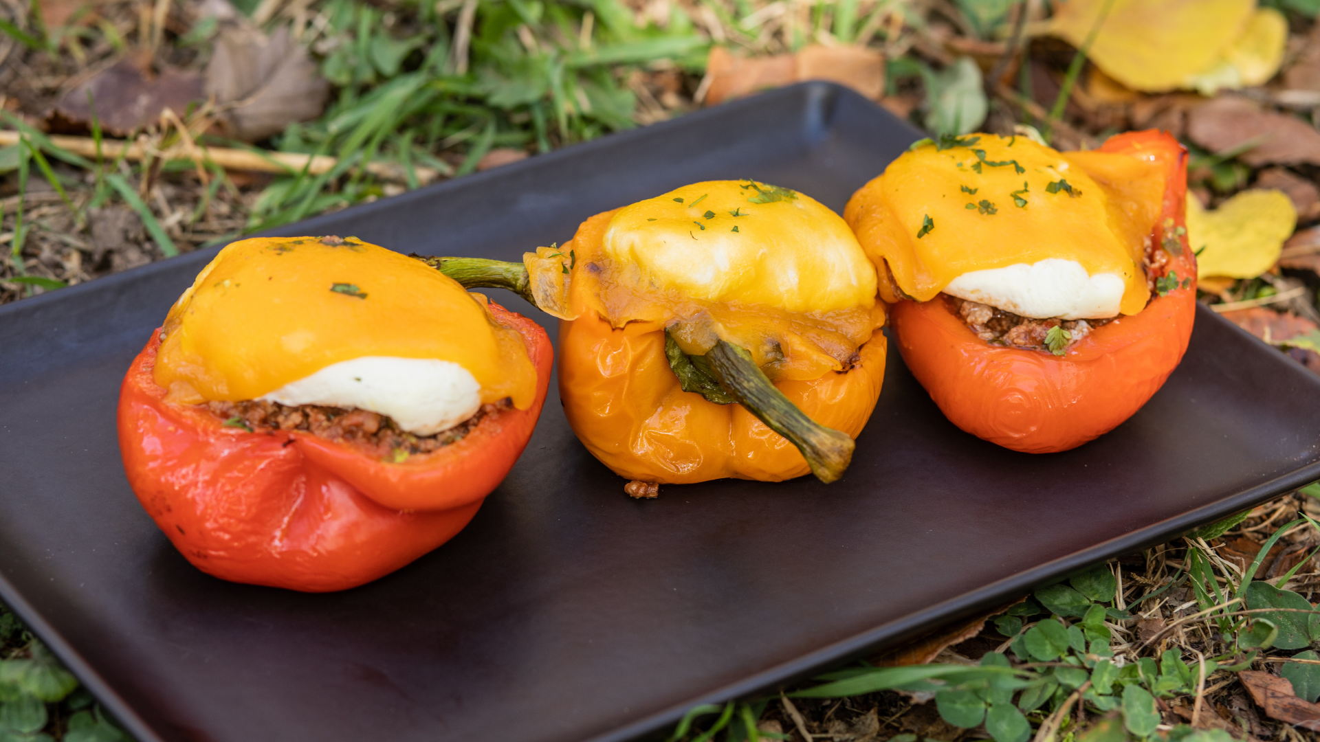 Savory Beef-Stuffed Peppers with Poached Eggs & Creamy Cheese Sauce