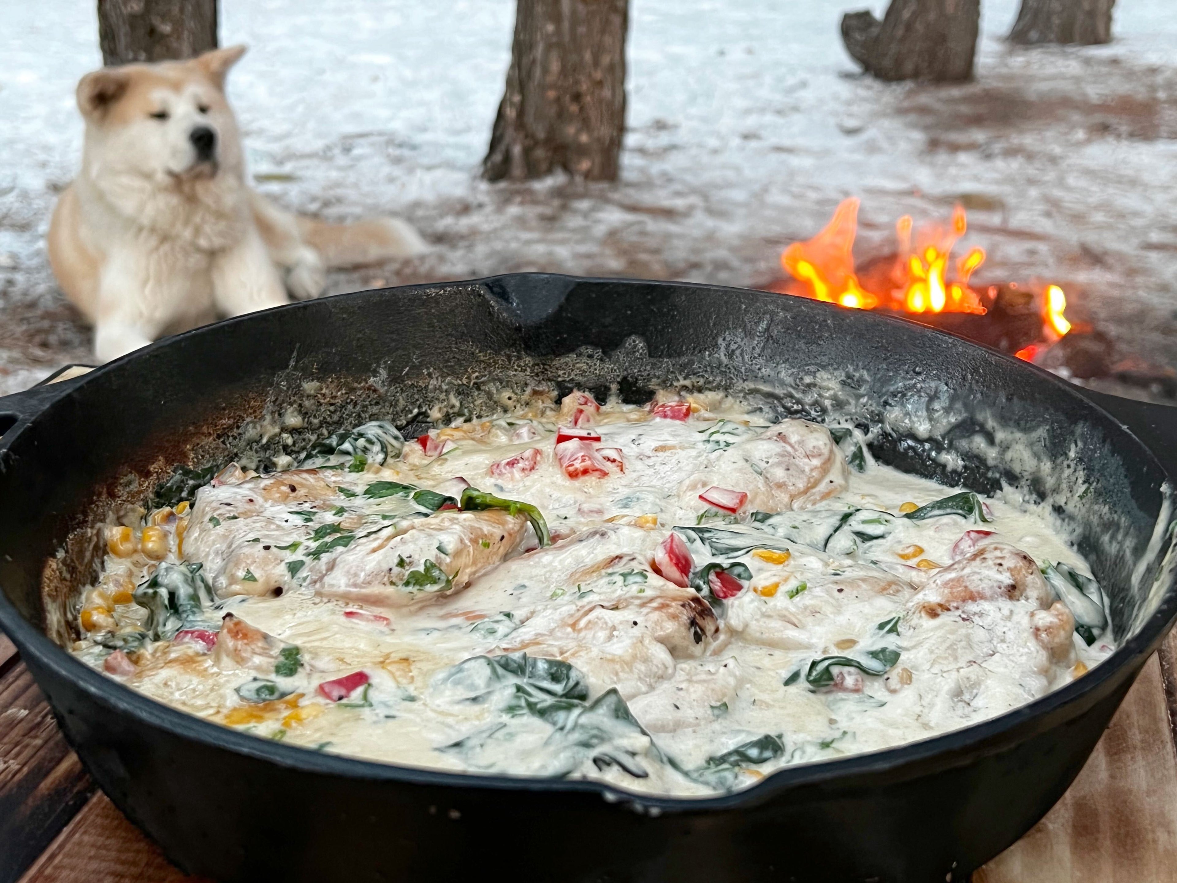 Chicken Breast Cooked in the Wintry Forest
