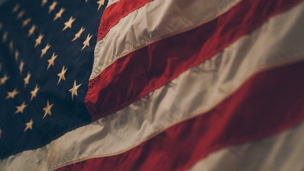 Veterans Day Special Interview